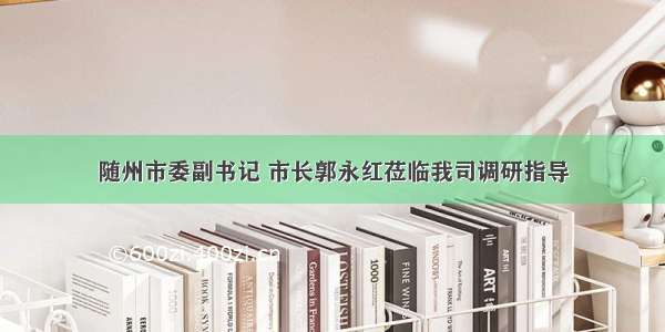 随州市委副书记 市长郭永红莅临我司调研指导