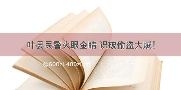 叶县民警火眼金睛 识破偷盗大贼！