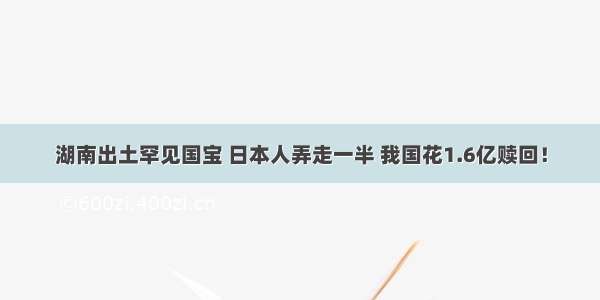 湖南出土罕见国宝 日本人弄走一半 我国花1.6亿赎回！