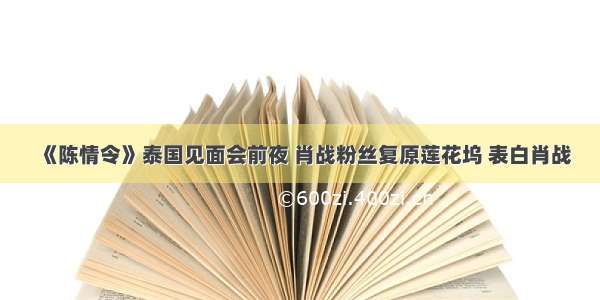 《陈情令》泰国见面会前夜 肖战粉丝复原莲花坞 表白肖战