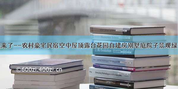 十大庭院铺装来了--农村豪宅民宿空中屋顶露台花园自建房别墅庭院子景观绿化翻新改造设