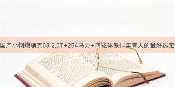 国产小钢炮领克03 2.0T+254马力+四驱体系！年青人的最好选定！