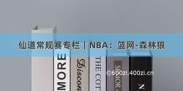 仙道常规赛专栏｜NBA：篮网-森林狼