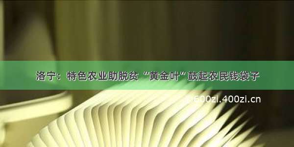 洛宁：特色农业助脱贫 “黄金叶”鼓起农民钱袋子