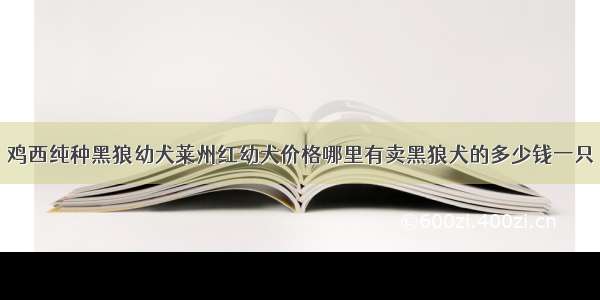 鸡西纯种黑狼幼犬莱州红幼犬价格哪里有卖黑狼犬的多少钱一只