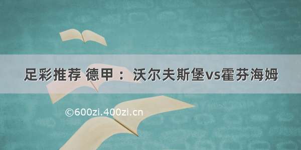 足彩推荐 德甲 ：沃尔夫斯堡vs霍芬海姆