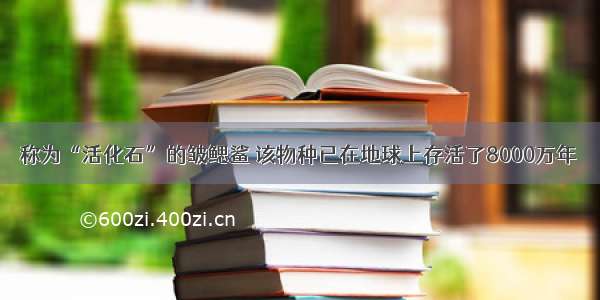 称为“活化石”的皱鳃鲨 该物种已在地球上存活了8000万年