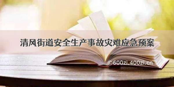 清风街道安全生产事故灾难应急预案