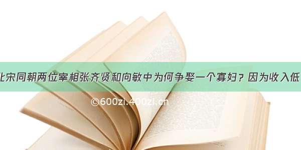 北宋同朝两位宰相张齐贤和向敏中为何争娶一个寡妇？因为收入低？