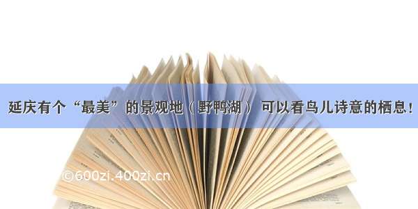 延庆有个“最美”的景观地（野鸭湖） 可以看鸟儿诗意的栖息！