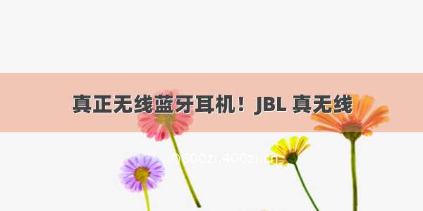 真正无线蓝牙耳机！JBL 真无线