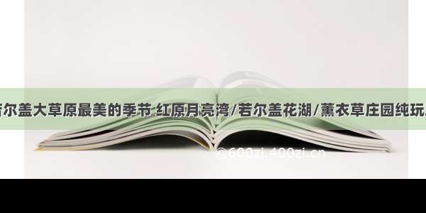 相遇若尔盖大草原最美的季节 红原月亮湾/若尔盖花湖/薰衣草庄园纯玩三日游