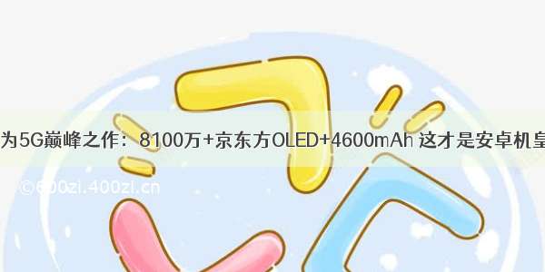 华为5G巅峰之作：8100万+京东方OLED+4600mAh 这才是安卓机皇