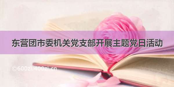 东营团市委机关党支部开展主题党日活动