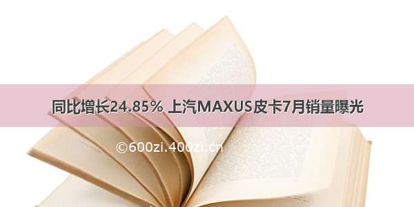 同比增长24.85% 上汽MAXUS皮卡7月销量曝光