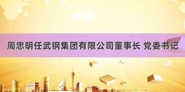 周忠明任武钢集团有限公司董事长 党委书记