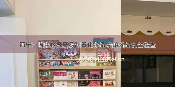 西宁：城中区开展易制毒化学品 精麻药品安全检查