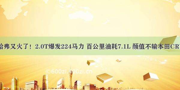 哈弗又火了！2.0T爆发224马力 百公里油耗7.1L 颜值不输本田CRV