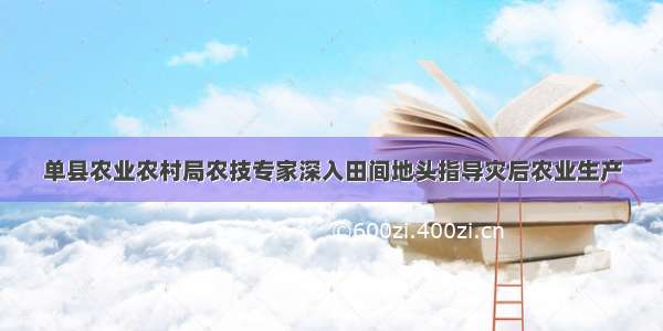 单县农业农村局农技专家深入田间地头指导灾后农业生产