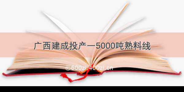 广西建成投产一5000吨熟料线