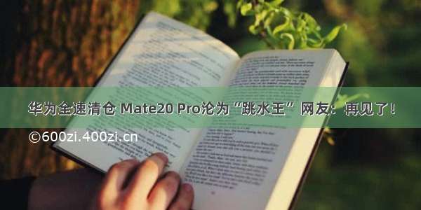 华为全速清仓 Mate20 Pro沦为“跳水王” 网友：再见了！