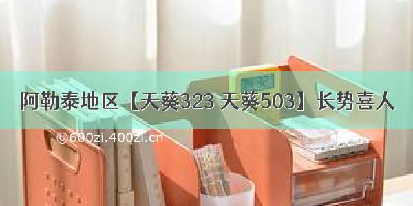 阿勒泰地区【天葵323 天葵503】长势喜人