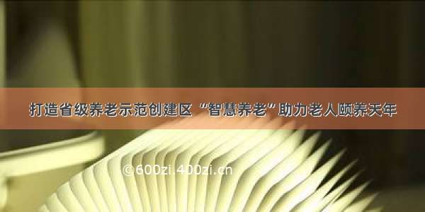 打造省级养老示范创建区 “智慧养老”助力老人颐养天年