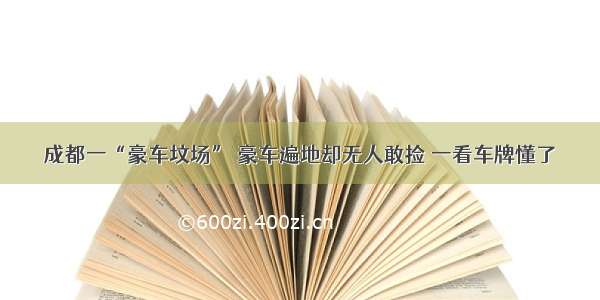 成都一“豪车坟场” 豪车遍地却无人敢捡 一看车牌懂了