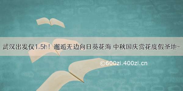 武汉出发仅1.5h！邂逅无边向日葵花海 中秋国庆赏花度假圣地~