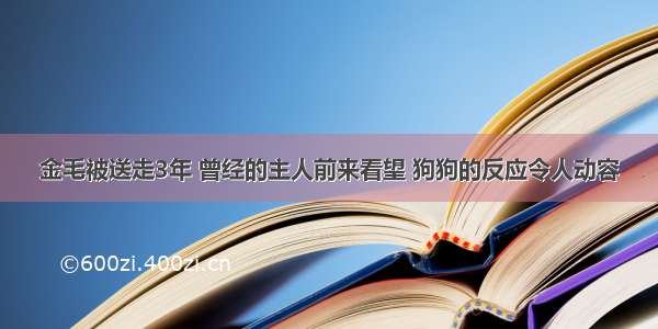 金毛被送走3年 曾经的主人前来看望 狗狗的反应令人动容