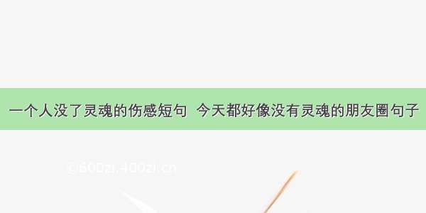 一个人没了灵魂的伤感短句  今天都好像没有灵魂的朋友圈句子