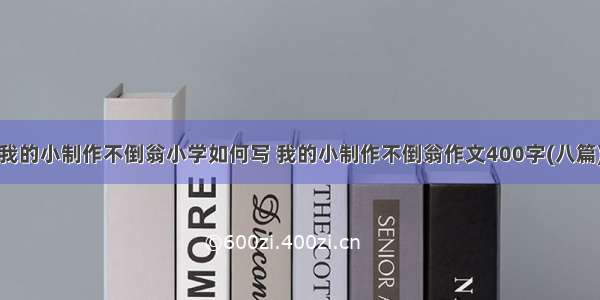 我的小制作不倒翁小学如何写 我的小制作不倒翁作文400字(八篇)