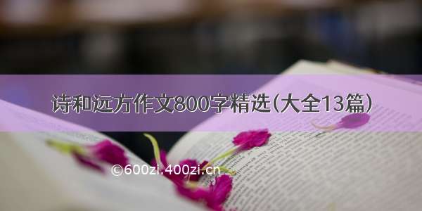 诗和远方作文800字精选(大全13篇)