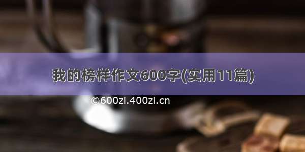 我的榜样作文600字(实用11篇)