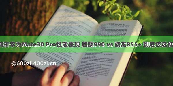 剖析华为Mate30 Pro性能表现 麒麟990 vs 骁龙855+ 到底该选谁？