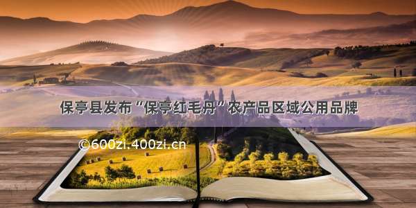 保亭县发布“保亭红毛丹”农产品区域公用品牌