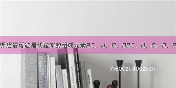 下列哪组最可能是线粒体的组成元素A.C．H．O．NB.C．H．O．N．PC.C．