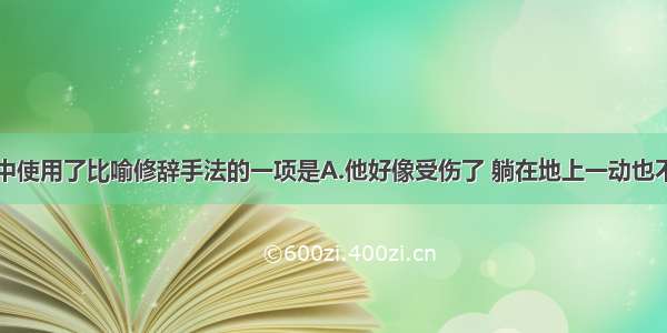 下列句子中使用了比喻修辞手法的一项是A.他好像受伤了 躺在地上一动也不动。B.人