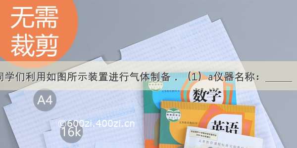 实验课上 同学们利用如图所示装置进行气体制备．（1）a仪器名称：______（2）反应原