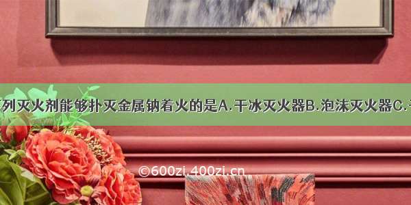 单选题下列灭火剂能够扑灭金属钠着火的是A.干冰灭火器B.泡沫灭火器C.干粉灭火