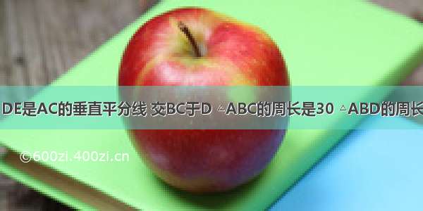 如图 在△ABC中 DE是AC的垂直平分线 交BC于D △ABC的周长是30 △ABD的周长为20 求AE的长．