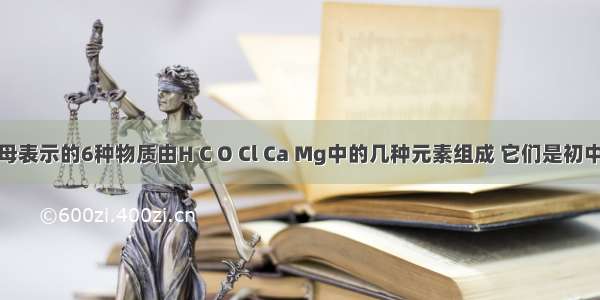 下列用字母表示的6种物质由H C O Cl Ca Mg中的几种元素组成 它们是初中化学常见