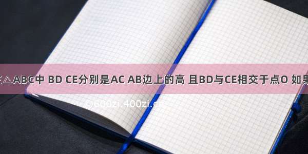 如图所示 在△ABC中 BD CE分别是AC AB边上的高 且BD与CE相交于点O 如果∠BOC=13