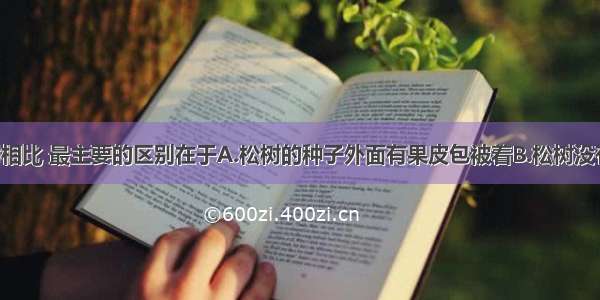 松树和柳树相比 最主要的区别在于A.松树的种子外面有果皮包被着B.松树没有果实 种子