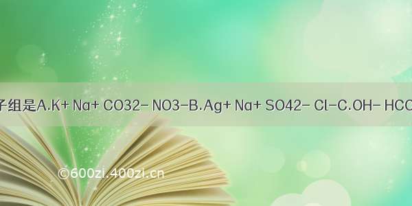 下列溶液中 能大量共存的离子组是A.K+ Na+ CO32- NO3-B.Ag+ Na+ SO42- Cl-C.OH- HCO3- Ca2+ Na+D.Ba2+ Na