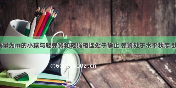 如图所示 质量为m的小球与轻弹簧和轻绳相连处于静止 弹簧处于水平状态 劲度系数为k