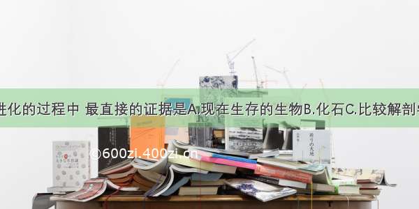 在研究生物进化的过程中 最直接的证据是A.现在生存的生物B.化石C.比较解剖学D.网上查阅