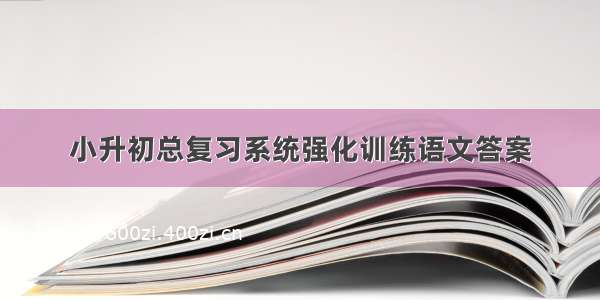 小升初总复习系统强化训练语文答案