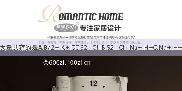 下列各组离子 在溶液中能大量共存的是A.Ba2+ K+ CO32- Cl-B.S2- Cl- Na+ H+C.Na+ H+ I- SO4-D.Ca2+ Fe3+ NO