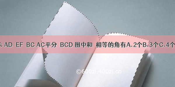 如图所示 AD∥EF∥BC AC平分∠BCD 图中和α相等的角有A.2个B.3个C.4个D.5个